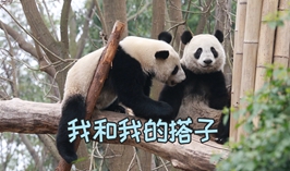 我和我的搭子